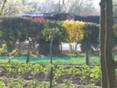 Les Jardins de la Terre promise
