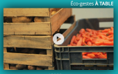 Ecotidien : le webdoc de la consommation responsable